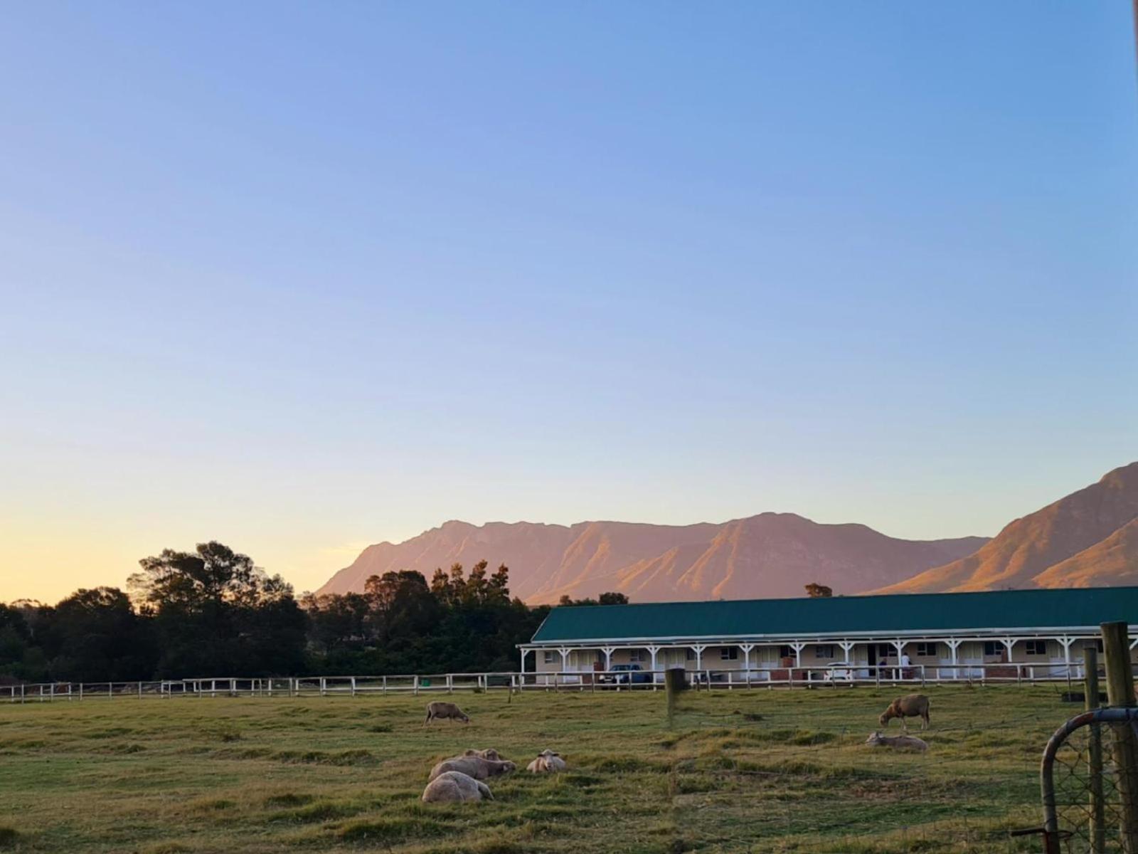 Blue Mountain Farm Lodge, Cabins & Cottages Swellendam Eksteriør bilde